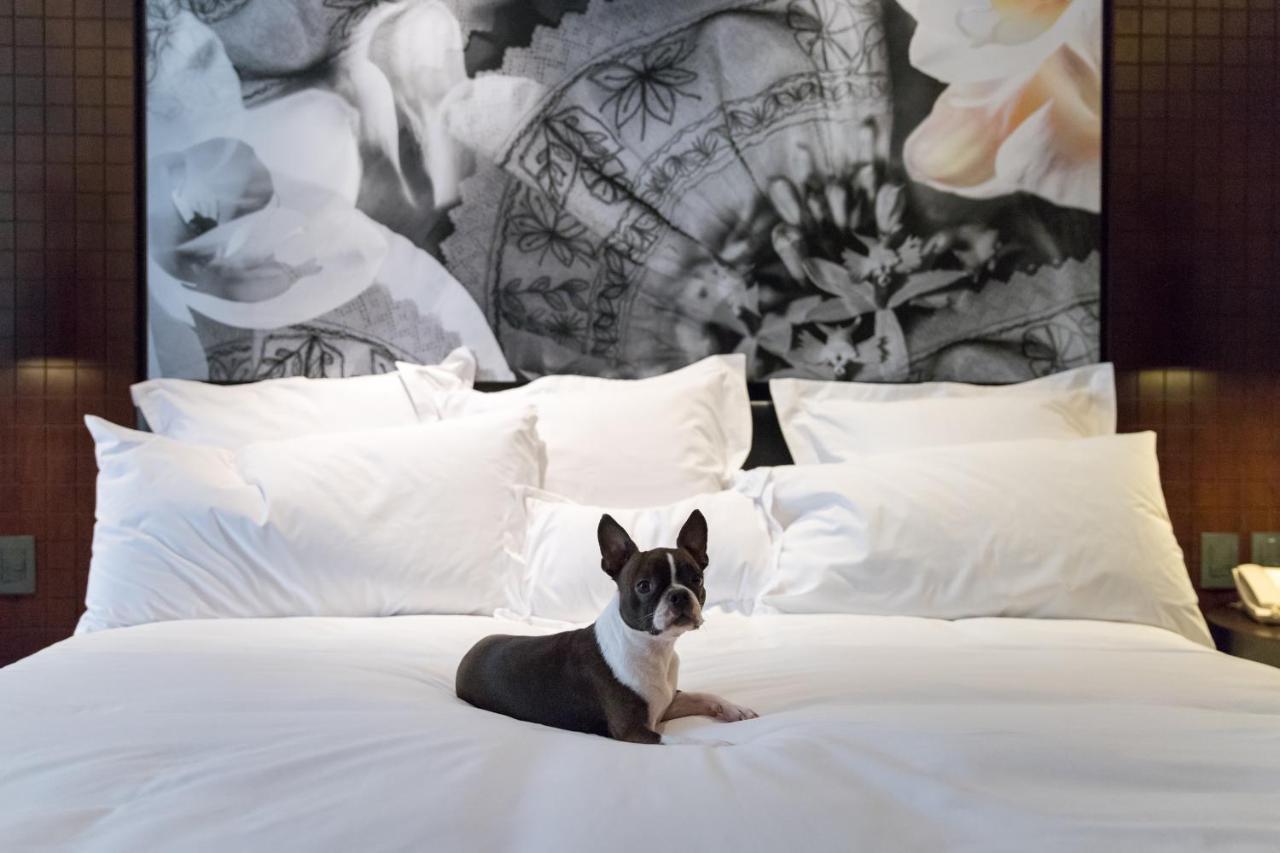 Country Club Lima Hotel - The Leading Hotels Of The World Extérieur photo